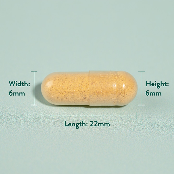 Holland & Barrett Turmeric 500mg 240 Capsules